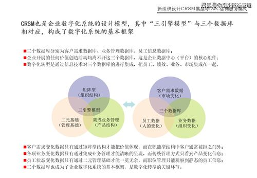CRSM模型與LWC咨詢服務模式在網絡技術服務中的創(chuàng)新應用